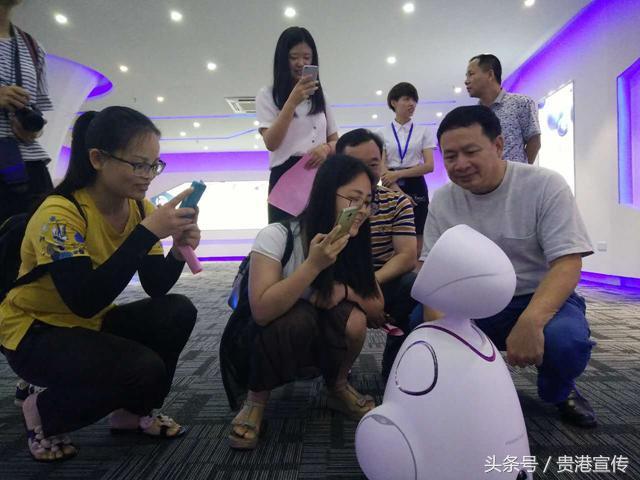 贵港贝丰最新招聘信息及其相关解读