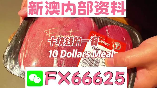 新澳正版资料免费大全,网友推荐,精准有效