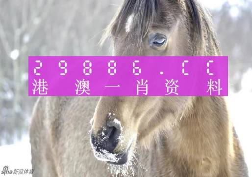 澳门一肖一码一一特,网友推荐,精准有效