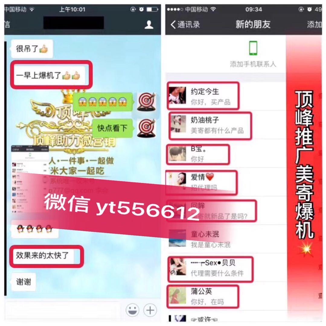 澳门天天免费精准大全,网友推荐,精准有效
