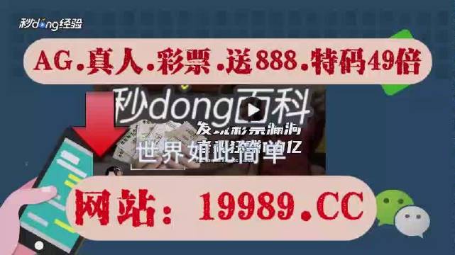 2024年新澳门开奖结果查询,网友推荐,精准有效