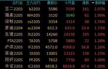 今日菜柏最新价格行情