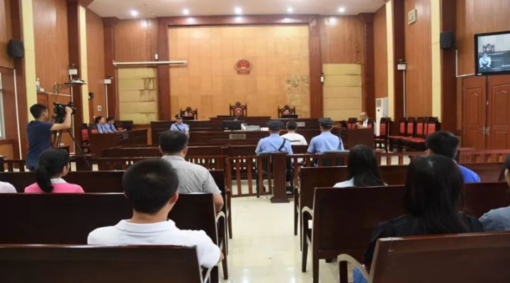 百色市陆玉团最新任职