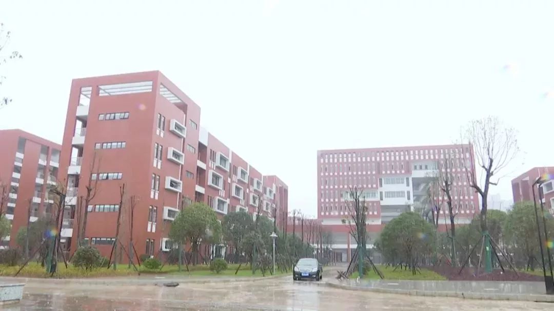邵阳市新一中最新动态