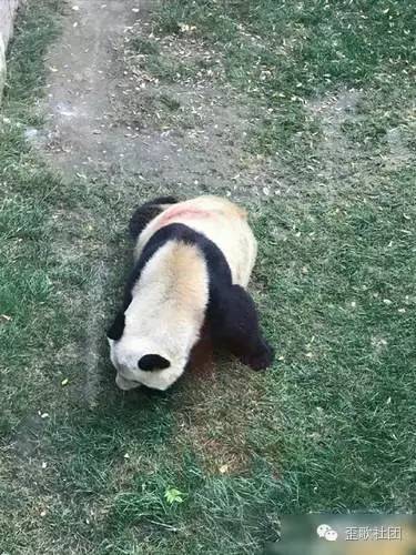 兰州动物园最新消息