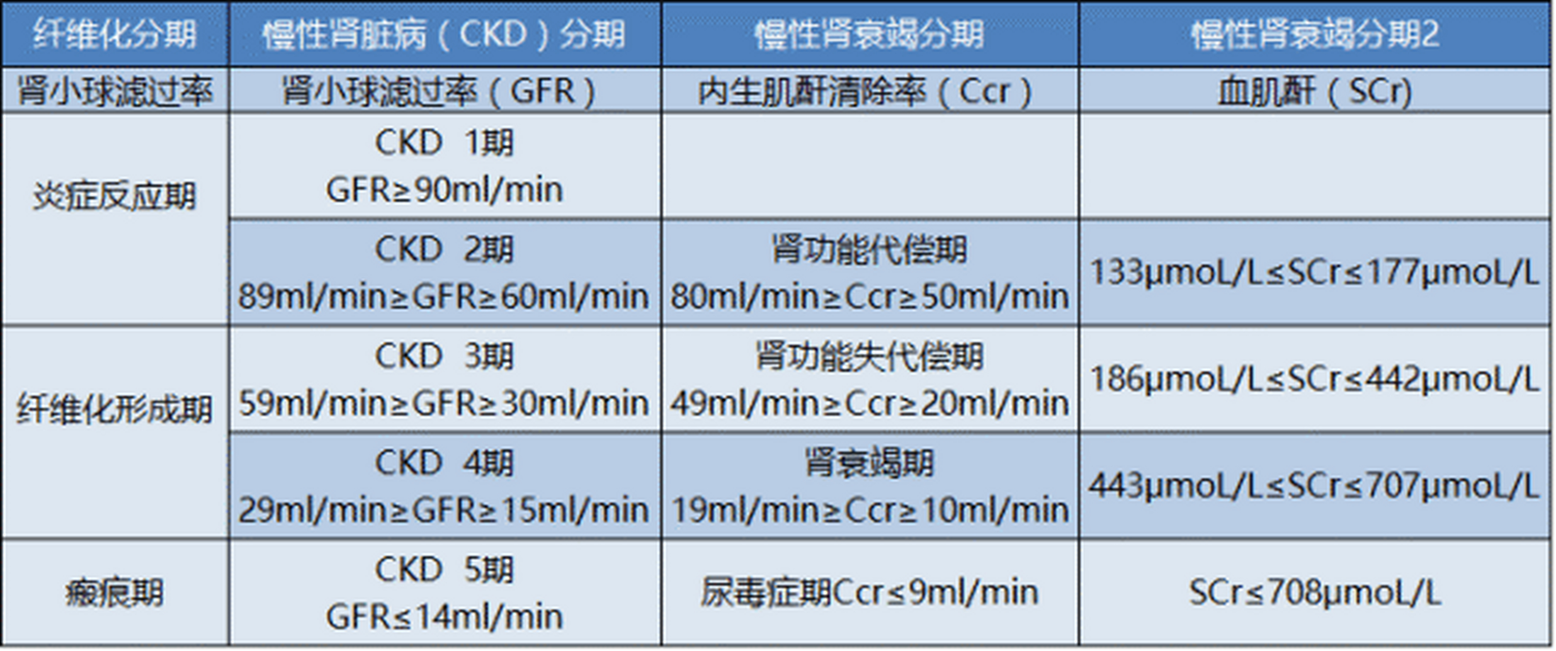 血肌酐正常值最新标准2022