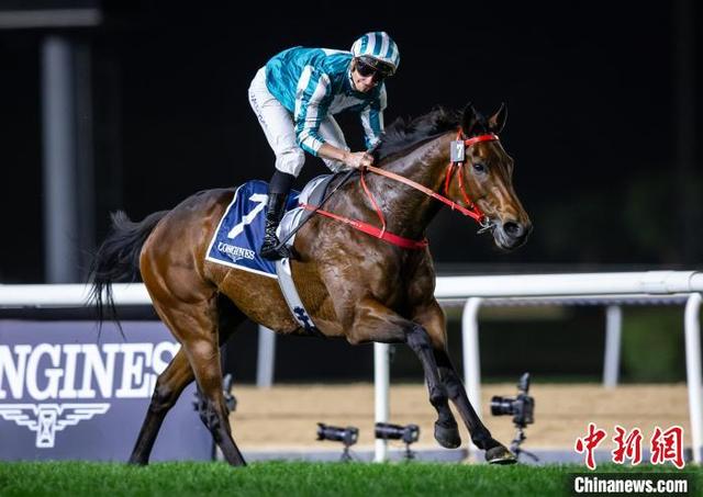 香港今晚开什么特马,香港今晚的马票盛宴，探寻特马背后的故事与魅力