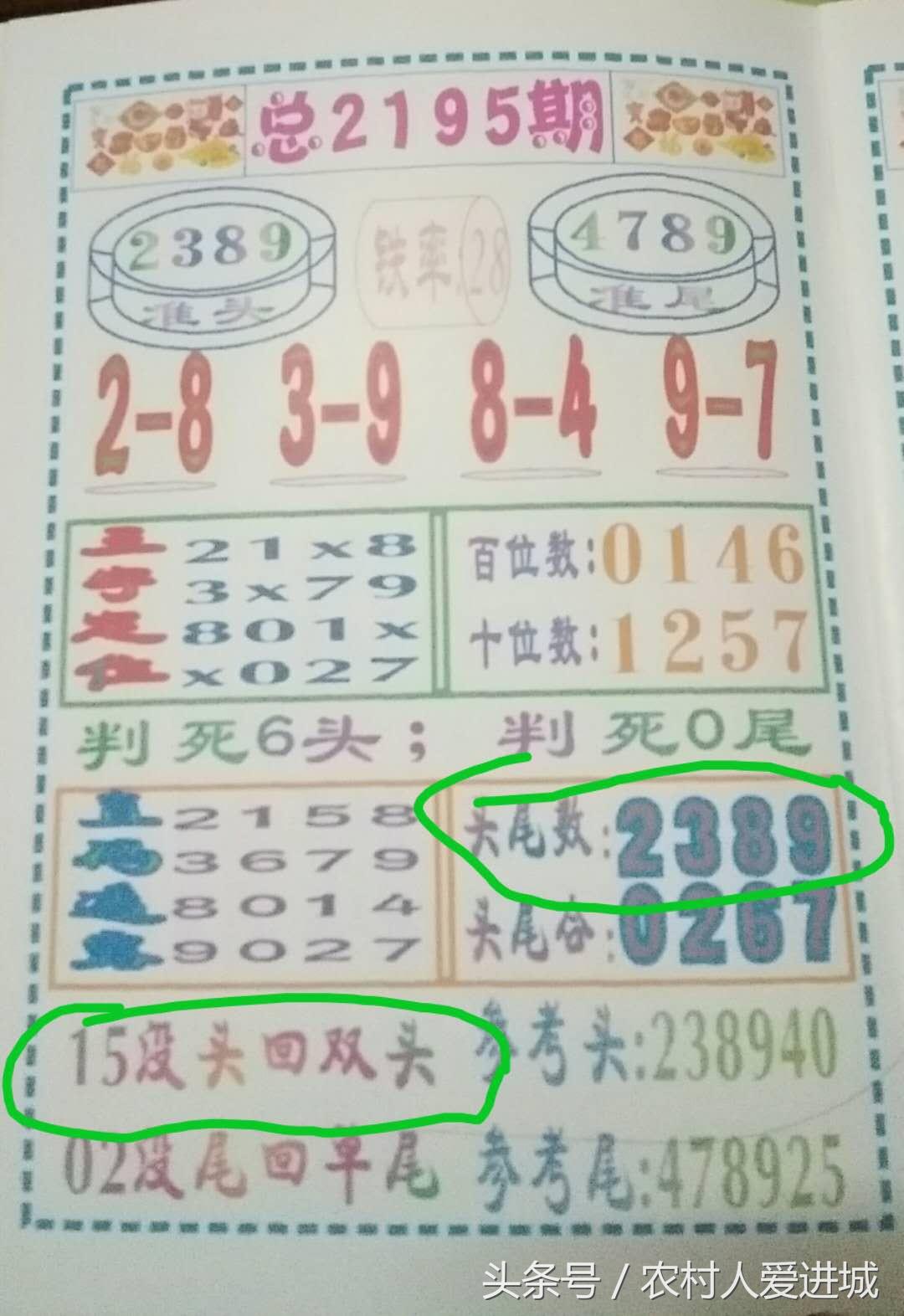 新澳门精准资料期期精准,新澳门精准资料期期精准，深度解析与前瞻性探讨