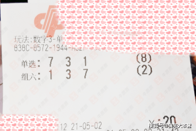 澳门今晚开奖结果号码,澳门今晚开奖结果号码——探索彩票背后的故事