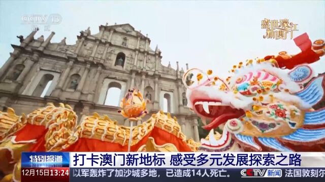 澳门今晚一肖必中特,澳门今晚一肖必中特，探索幸运之城的秘密