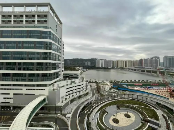 2025新澳门天天彩资料查询,澳门彩票资料查询，探索未来的新澳门天天彩（2025年展望）